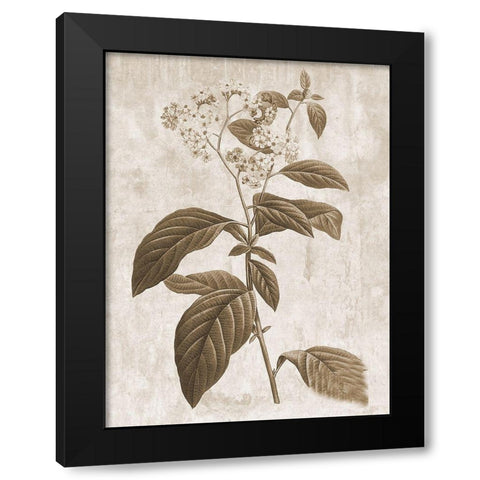 Earth Balance 10 Black Modern Wood Framed Art Print by Lewis, Sheldon