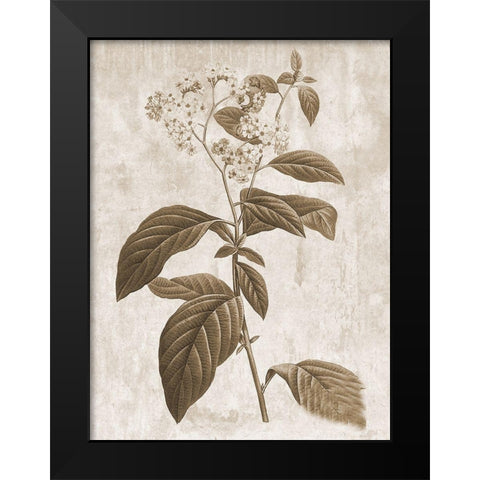 Earth Balance 10 Black Modern Wood Framed Art Print by Lewis, Sheldon