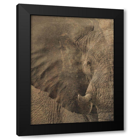 Heard The Heard 1 Black Modern Wood Framed Art Print with Double Matting by Lewis, Sheldon