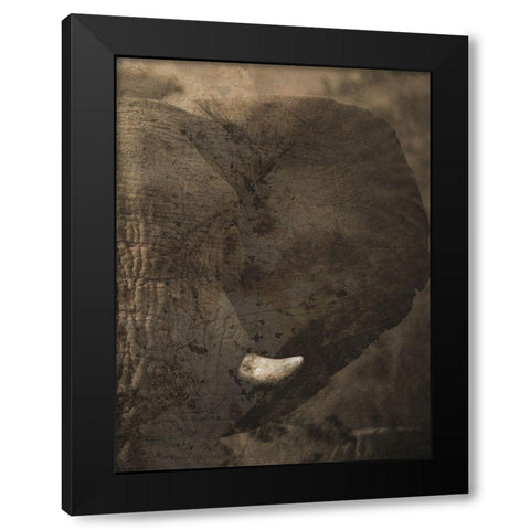 Heard The Heard 2 Black Modern Wood Framed Art Print with Double Matting by Lewis, Sheldon