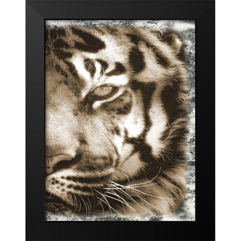 Tiger Claw 2 Black Modern Wood Framed Art Print by Lewis, Sheldon