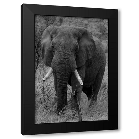 Dark Night Phant Black Modern Wood Framed Art Print by Lewis, Sheldon