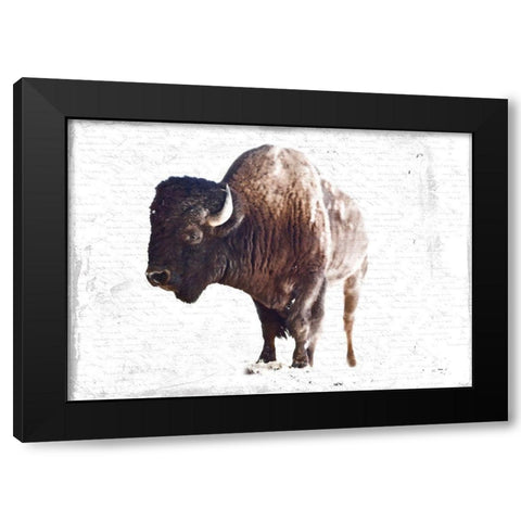 Stome Head Black Modern Wood Framed Art Print with Double Matting by Lewis, Sheldon