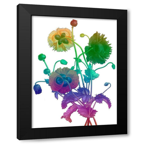 Color Bloom Black Modern Wood Framed Art Print with Double Matting by Lewis, Sheldon