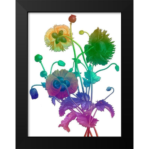 Color Bloom Black Modern Wood Framed Art Print by Lewis, Sheldon