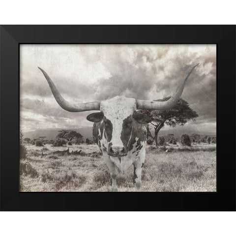 Steer Black Modern Wood Framed Art Print by Lewis, Sheldon