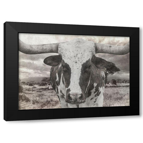 Steer Black Modern Wood Framed Art Print by Lewis, Sheldon