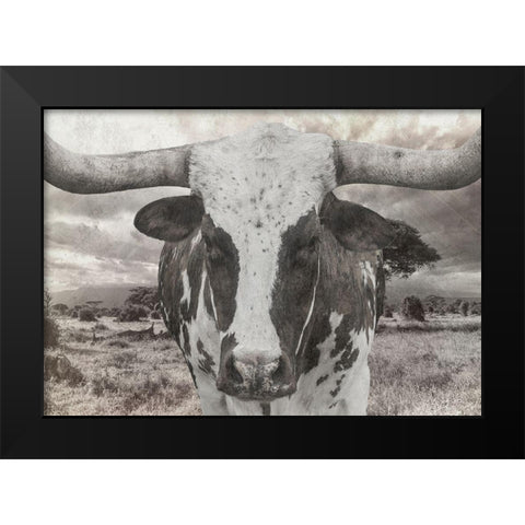 Steer Black Modern Wood Framed Art Print by Lewis, Sheldon