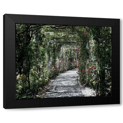 Vintage Garden Black Modern Wood Framed Art Print with Double Matting by Lewis, Sheldon