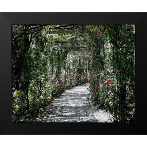 Vintage Garden Black Modern Wood Framed Art Print by Lewis, Sheldon