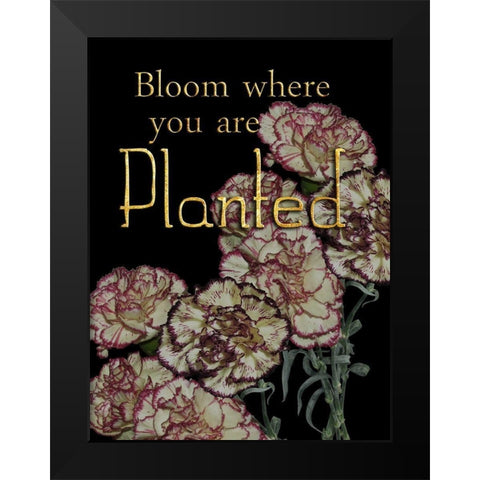 Full Bloom Black Modern Wood Framed Art Print by Lewis, Sheldon