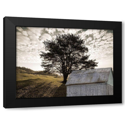 Landscape Black Modern Wood Framed Art Print by Lewis, Sheldon