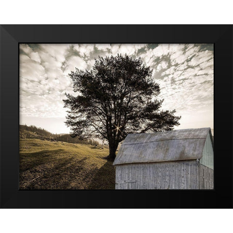 Landscape Black Modern Wood Framed Art Print by Lewis, Sheldon