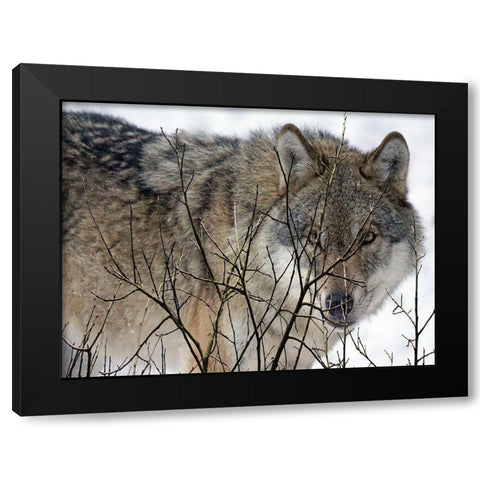Hunter Black Modern Wood Framed Art Print with Double Matting by Lewis, Sheldon