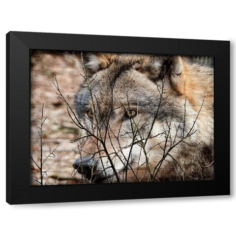 Hunt Black Modern Wood Framed Art Print by Lewis, Sheldon