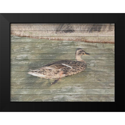 Water Duck Black Modern Wood Framed Art Print by Lewis, Sheldon