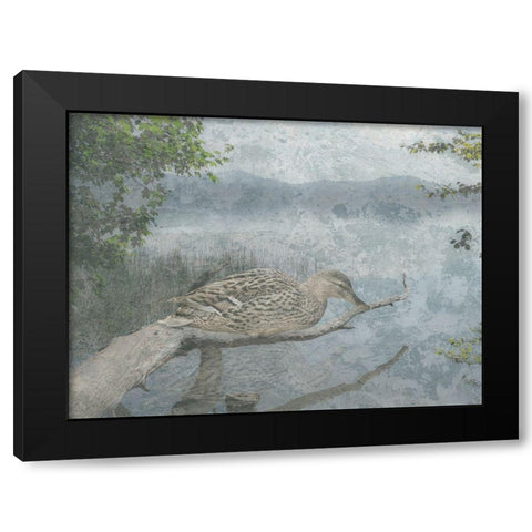 Sitting Duck Black Modern Wood Framed Art Print with Double Matting by Lewis, Sheldon