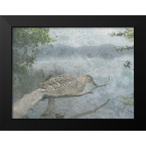 Sitting Duck Black Modern Wood Framed Art Print by Lewis, Sheldon