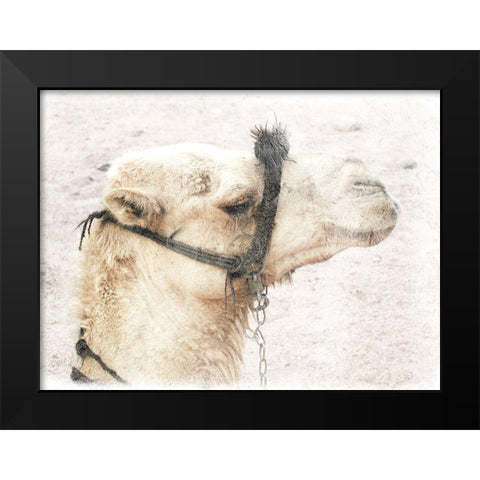Camel 1 Black Modern Wood Framed Art Print by Lewis, Sheldon