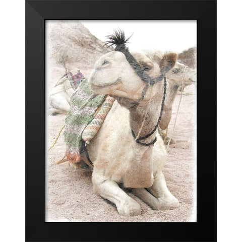 Camel 2 Black Modern Wood Framed Art Print by Lewis, Sheldon