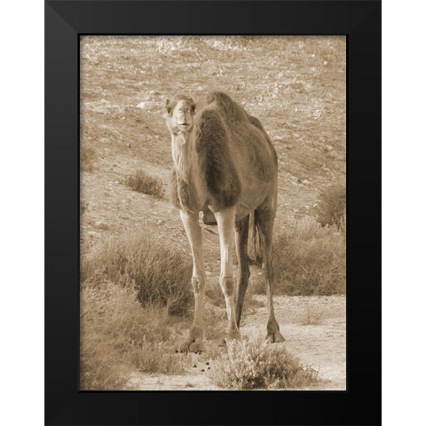 Desert Runner 2 Black Modern Wood Framed Art Print by Lewis, Sheldon