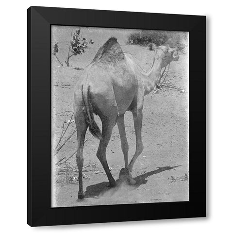 On My Way 1 Black Modern Wood Framed Art Print by Lewis, Sheldon