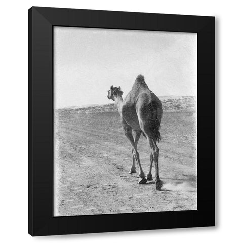 On My Way 2 Black Modern Wood Framed Art Print by Lewis, Sheldon