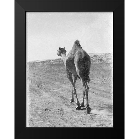 On My Way 2 Black Modern Wood Framed Art Print by Lewis, Sheldon