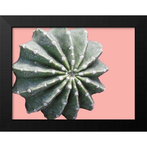 Cactus Bulb Black Modern Wood Framed Art Print by Lewis, Sheldon
