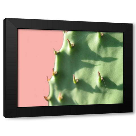 Cactus Flat Black Modern Wood Framed Art Print with Double Matting by Lewis, Sheldon