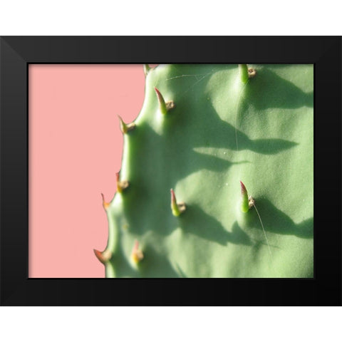 Cactus Flat Black Modern Wood Framed Art Print by Lewis, Sheldon