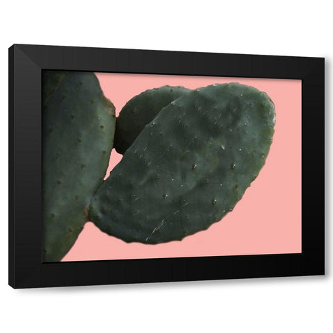 Cactus Wall Black Modern Wood Framed Art Print with Double Matting by Lewis, Sheldon