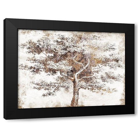 Meadow Wood 1 Black Modern Wood Framed Art Print by Lewis, Sheldon