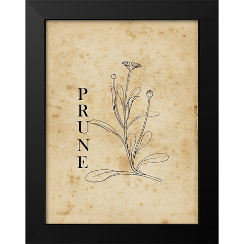 Prune Black Modern Wood Framed Art Print by Lewis, Sheldon