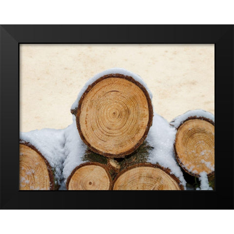 Lumberjack Black Modern Wood Framed Art Print by Lewis, Sheldon