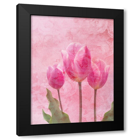 Tulip Love 1 Black Modern Wood Framed Art Print with Double Matting by Lewis, Sheldon