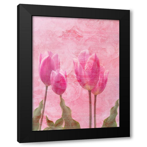Tulip Love 2 Black Modern Wood Framed Art Print with Double Matting by Lewis, Sheldon