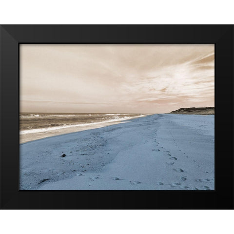 Pacific Bay Black Modern Wood Framed Art Print by Lewis, Sheldon