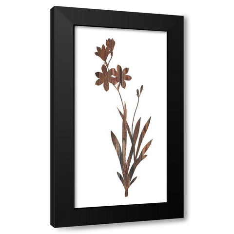 Earth Tone1 Black Modern Wood Framed Art Print by Lewis, Sheldon