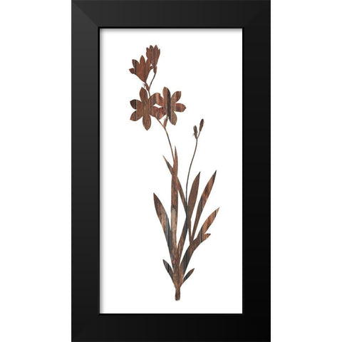 Earth Tone1 Black Modern Wood Framed Art Print by Lewis, Sheldon