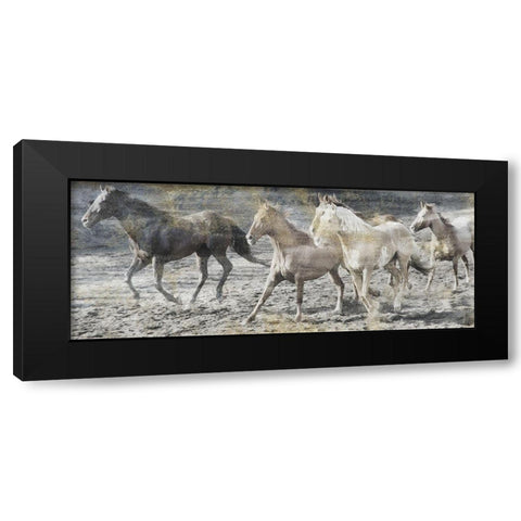 Free Spirits Black Modern Wood Framed Art Print with Double Matting by Lewis, Sheldon