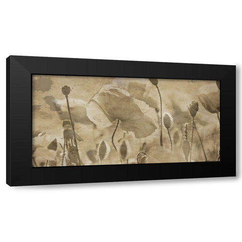 Fresh Meadow Bloom  Black Modern Wood Framed Art Print by Lewis, Sheldon