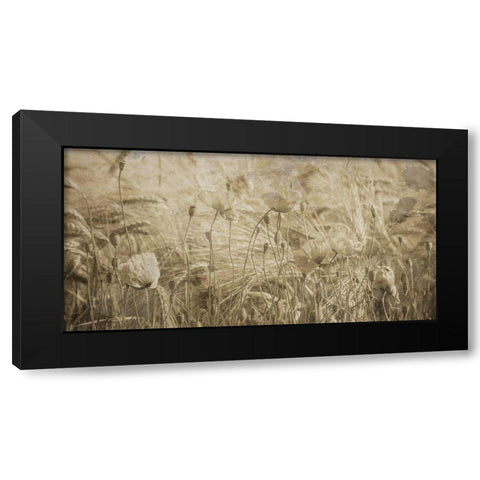 Fresh Meadow Bloom 2  Black Modern Wood Framed Art Print by Lewis, Sheldon