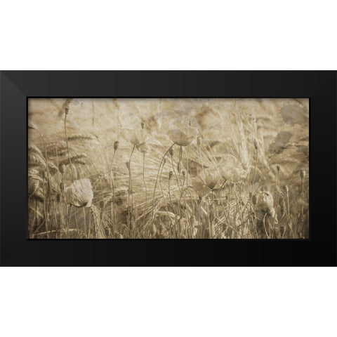Fresh Meadow Bloom 2  Black Modern Wood Framed Art Print by Lewis, Sheldon