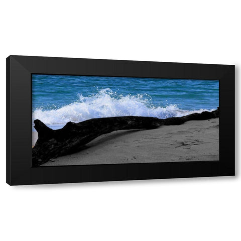 Drift Wood Black Modern Wood Framed Art Print with Double Matting by Lewis, Sheldon