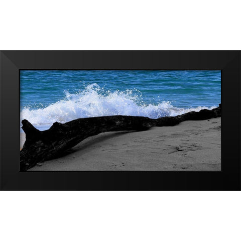 Drift Wood Black Modern Wood Framed Art Print by Lewis, Sheldon
