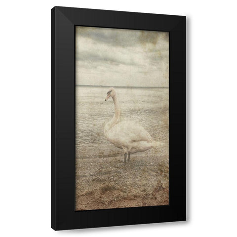 Coast Bird Watch Black Modern Wood Framed Art Print by Lewis, Sheldon