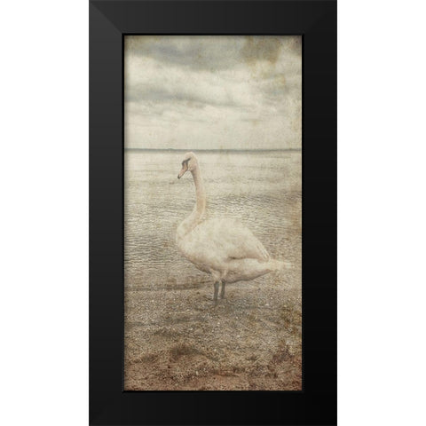 Coast Bird Watch Black Modern Wood Framed Art Print by Lewis, Sheldon