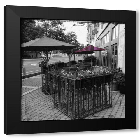 MD Purple POP Black Modern Wood Framed Art Print with Double Matting by Lewis, Sheldon