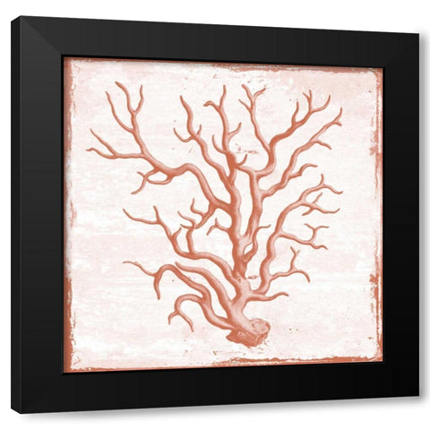 At The Coral Coast Black Modern Wood Framed Art Print with Double Matting by Lewis, Sheldon